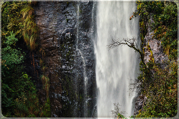 Nombre: Equilibrio natural