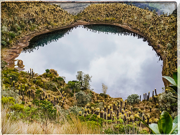 Nombre: Paraíso