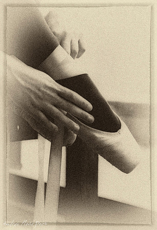 Proyecto Bailarina.