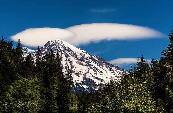 Mount Rainier National Park.