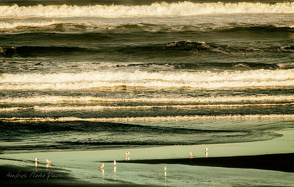 Cannon Beach (Oregon).