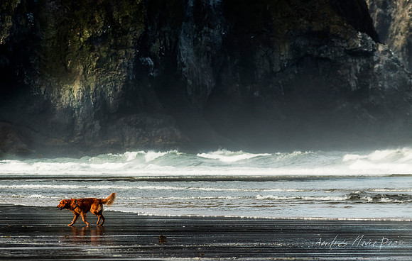 Cannon Beach (Oregon).