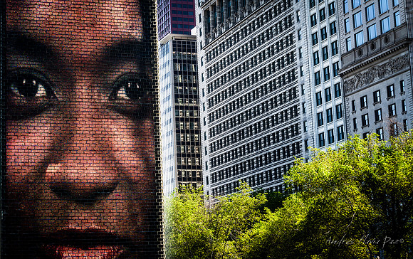 Chicago (Illinois).