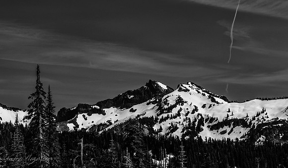 Mount Rainier National Park.