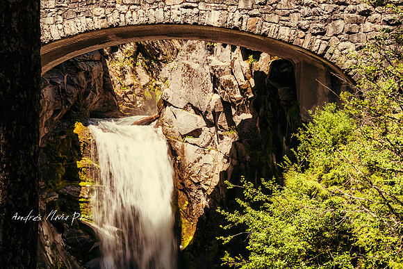 Mount Rainier National Park.