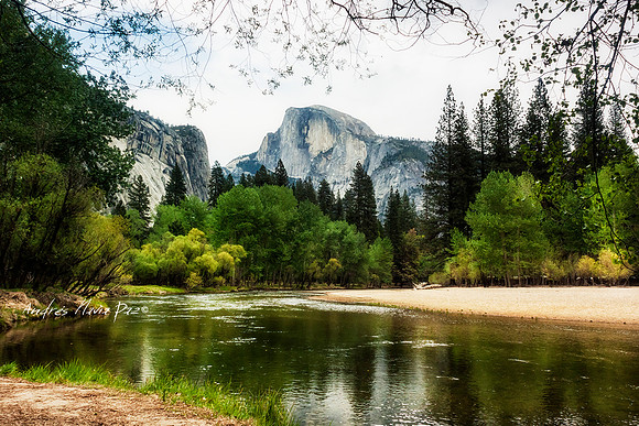 Yosemite National Park.