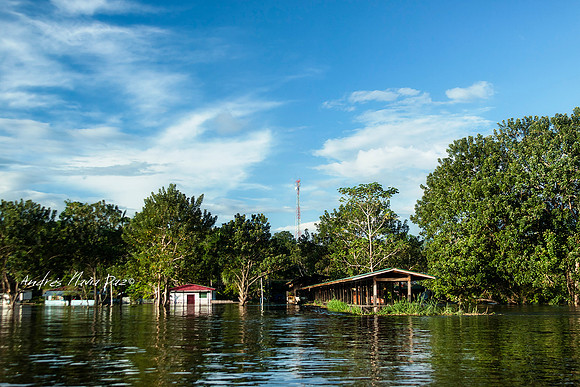 Amazonas - Colombia.