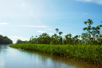 Amazonas - Colombia.