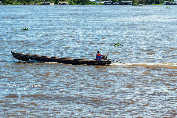 Amazonas - Colombia.
