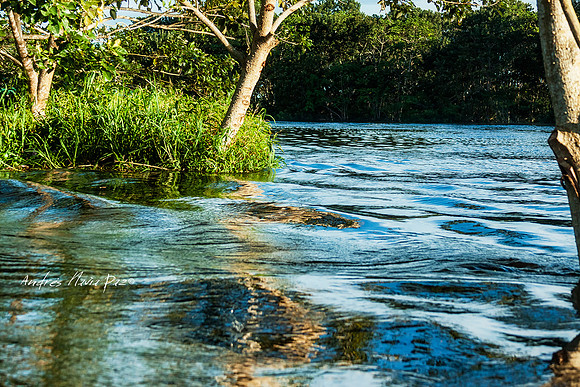 Amazonas - Colombia.
