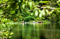Amazonas - Colombia.