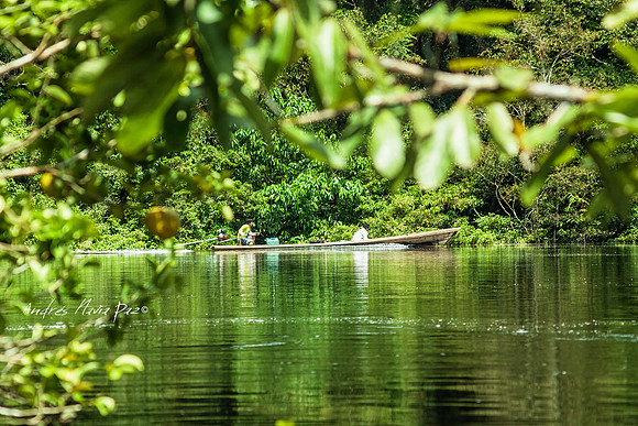 Amazonas - Colombia.