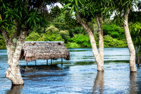 Amazonas - Colombia.