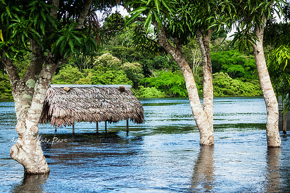 Amazonas - Colombia.