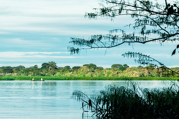Amazonas - Colombia.