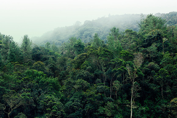 Cauca.