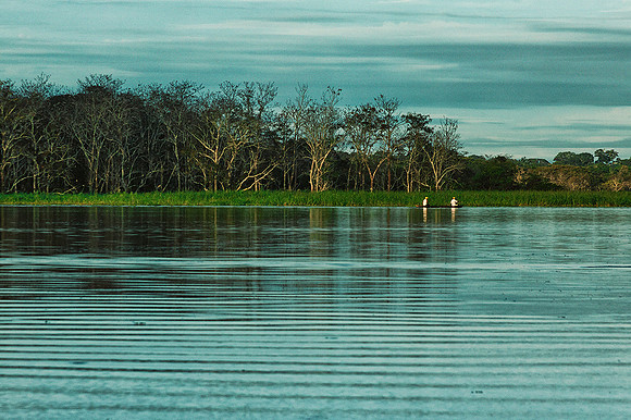 Amazonas - Colombia.