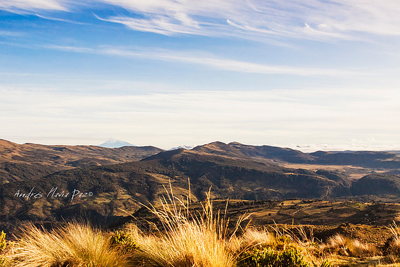Cauca.