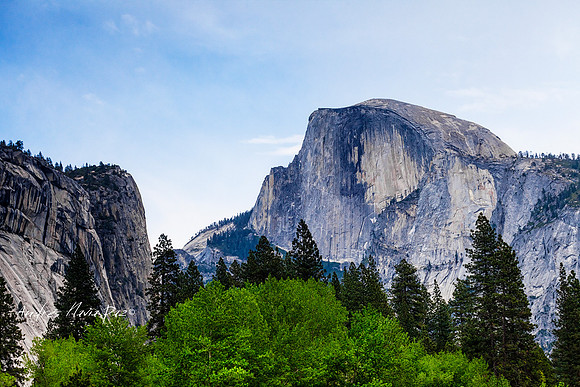 Yosemite National Park.