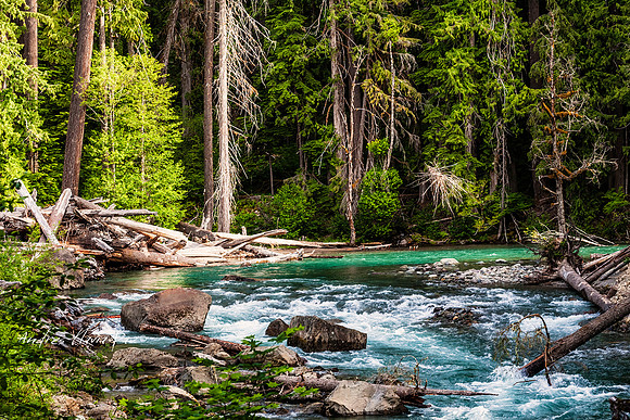Mount Rainier National Park.