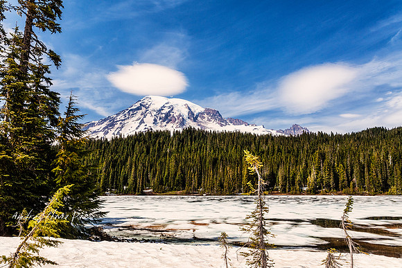 Mount Rainier National Park.
