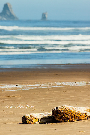 Cannon Beach (Oregon).