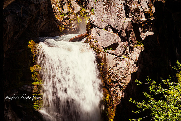 Mount Rainier National Park.