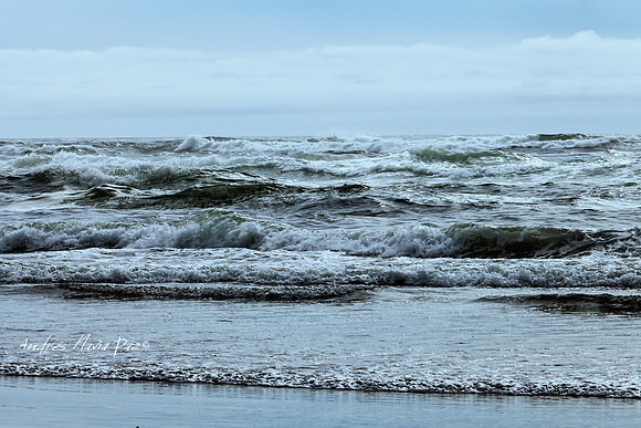 Cannon Beach (Oregon).