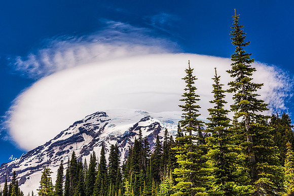 Mount Rainier National Park.