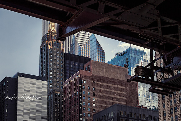Chicago (Illinois).