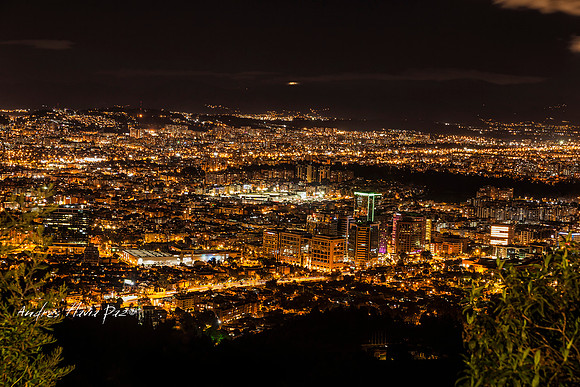 Bogotá D.C.