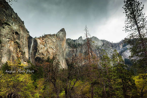 Yosemite National Park.