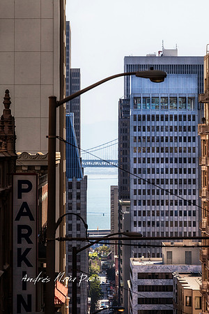 San Francisco (California).