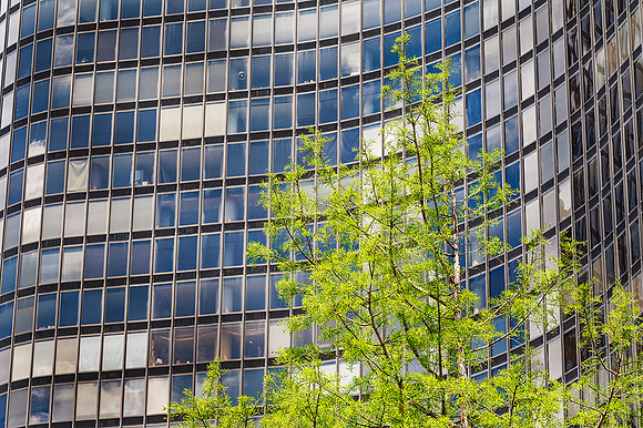 Chicago (Illinois).