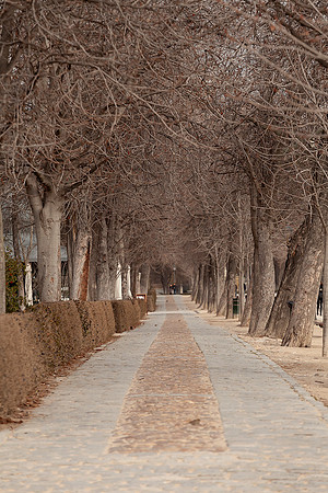 Madrid (España).
