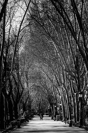 Madrid (España).