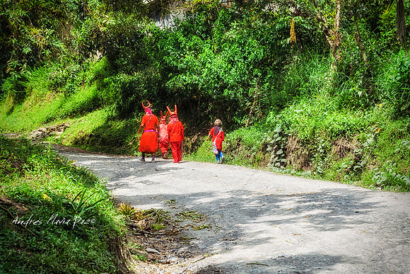Cauca.