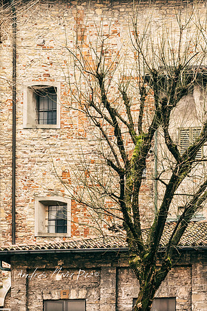 Bérgamo (Italia).