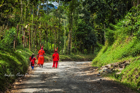 Cauca.