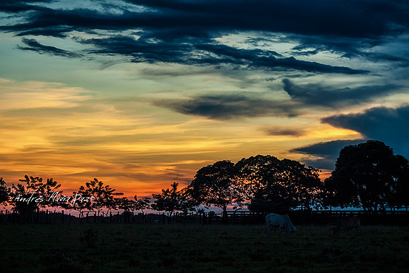 Casanare.