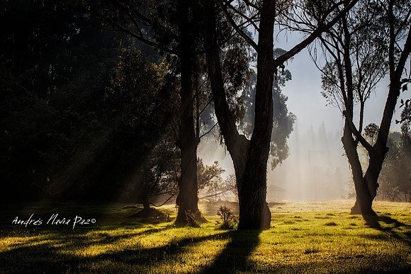 Cundinamarca.