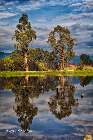 Cundinamarca.