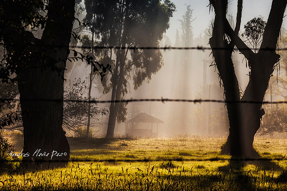 Cundinamarca.