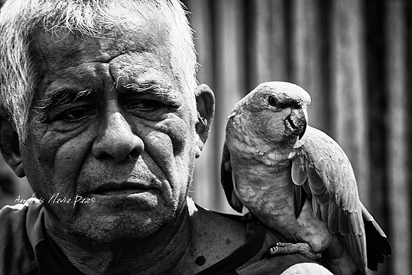 Amazonas - Colombia.
