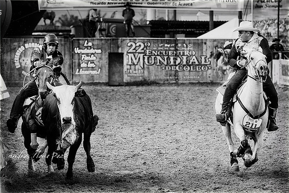 Encuentro Mundial de Coleo 2018