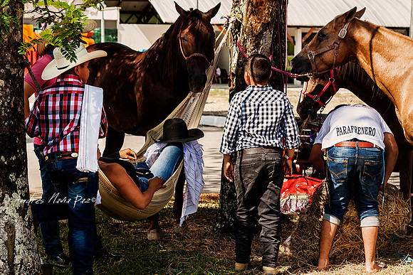 Encuentro Mundial de Coleo 2018