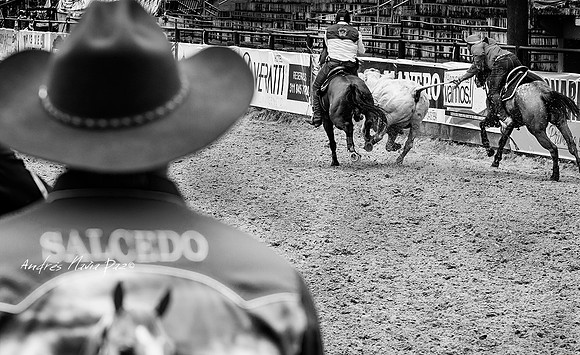 Encuentro Mundial de Coleo 2018