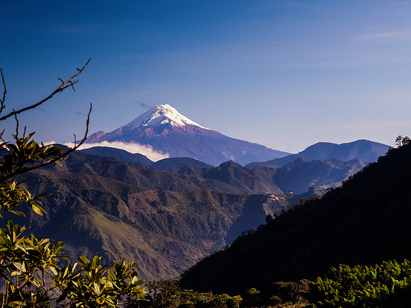 Cauca.