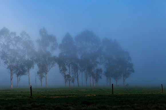 Cundinamarca.
