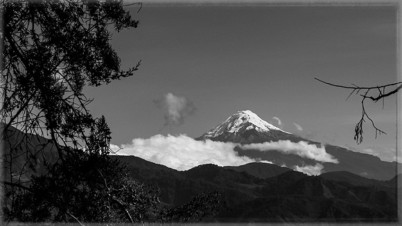 Cauca.